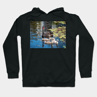 Swan Family In Formation Hoodie